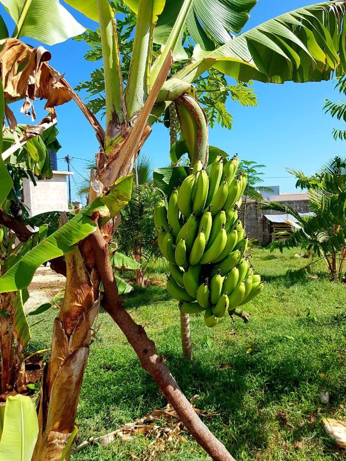 Mimi Na Wewe Villa ナングウィ エクステリア 写真